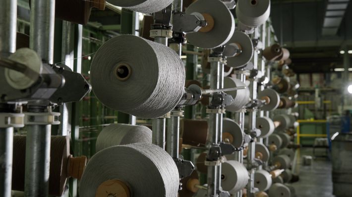Spools of yarn on a warping creel